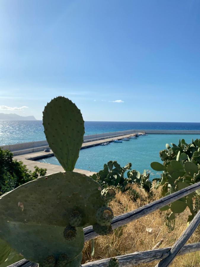 Casa Vacanze Il Girasole Balestrate Dış mekan fotoğraf
